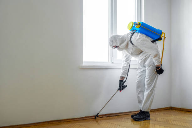 Best Exterminator Services  in Duryea, PA