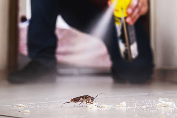 Best Pest Removal Services  in Duryea, PA